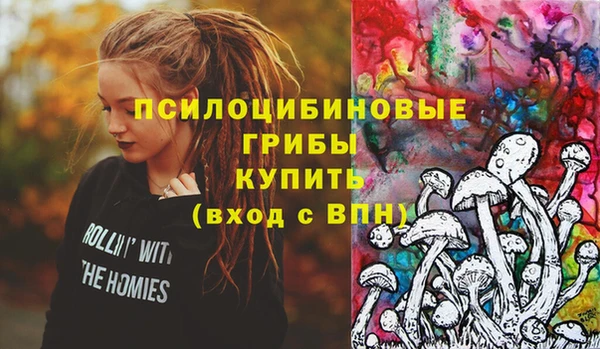 дурь Володарск