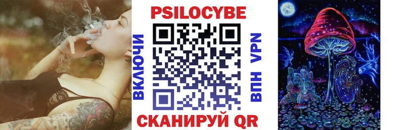 что такое   Зерноград  Галлюциногенные грибы ЛСД 